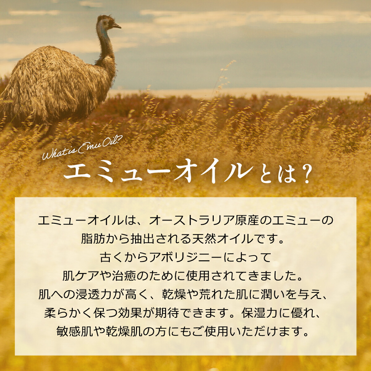 国産 エミュー オイル 30ml 天然 保湿 エミュー油 美容オイル フェイス