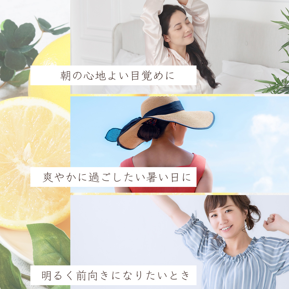 グレープフルーツ 精油 20ml アロマオイル エッセンシャルオイル