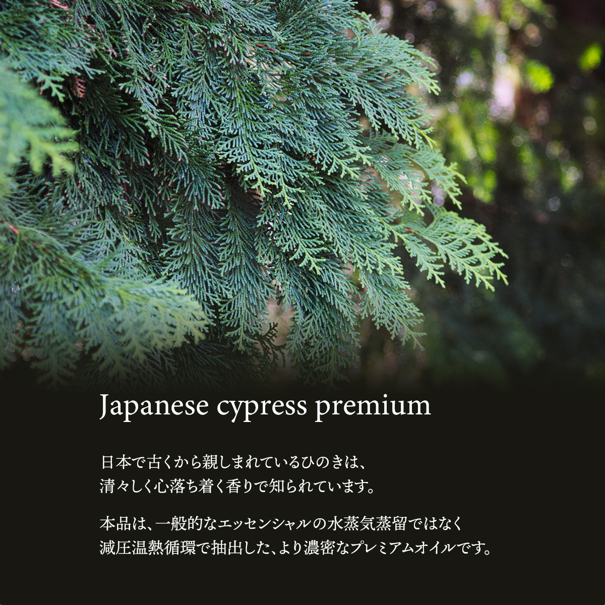 ひのき プレミアム 200ml 精油 アロマ オイル ひのき油 ヒノキ 檜 減圧 