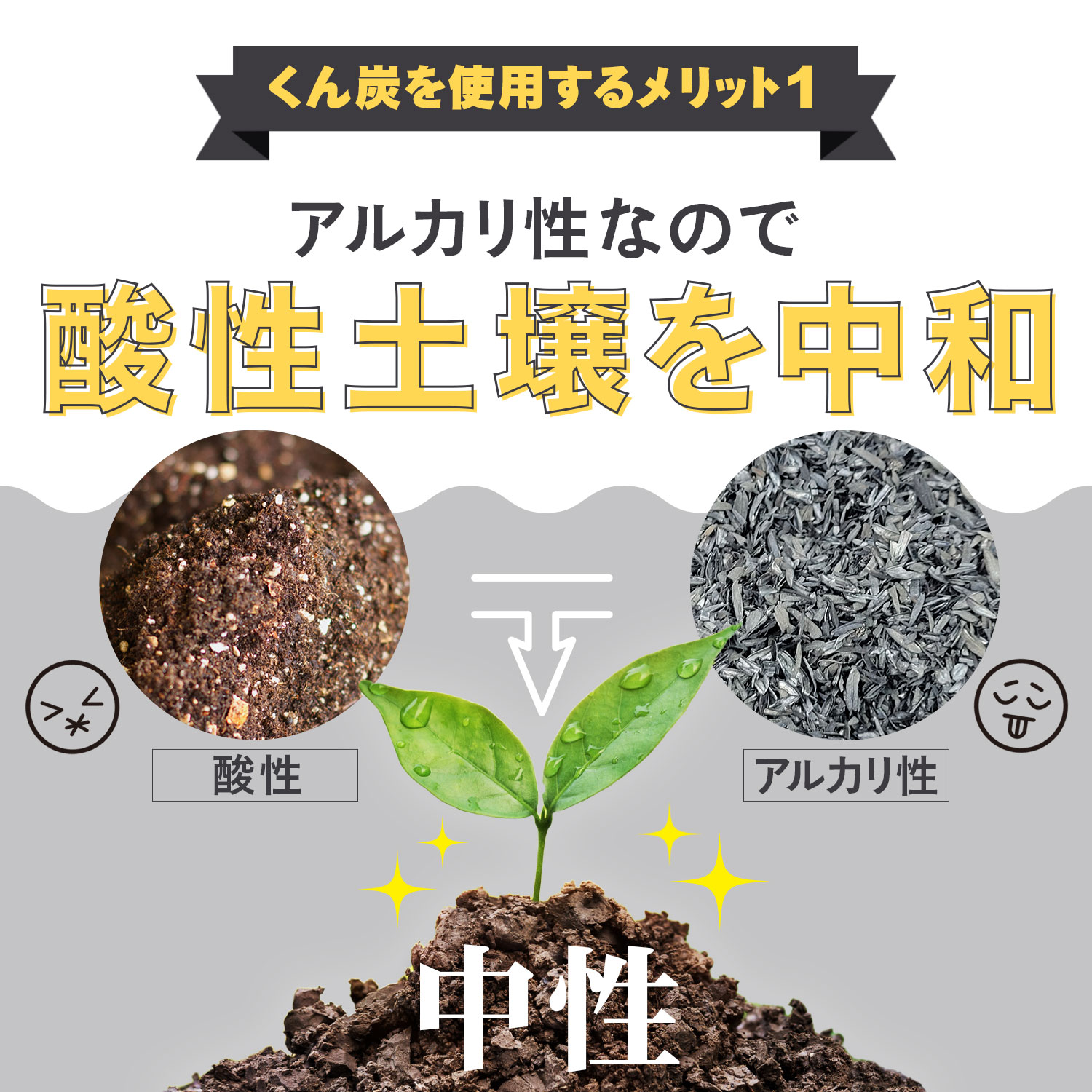 本物品質の もみ殻くん炭 100gくらい ad-naturam.fr