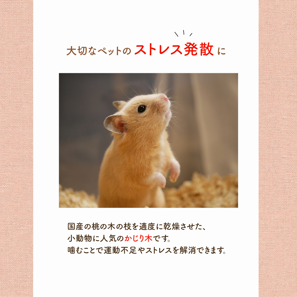 無農薬 ももの枝 約 30g かじり木 桃 モモ 木 小動物 ペット