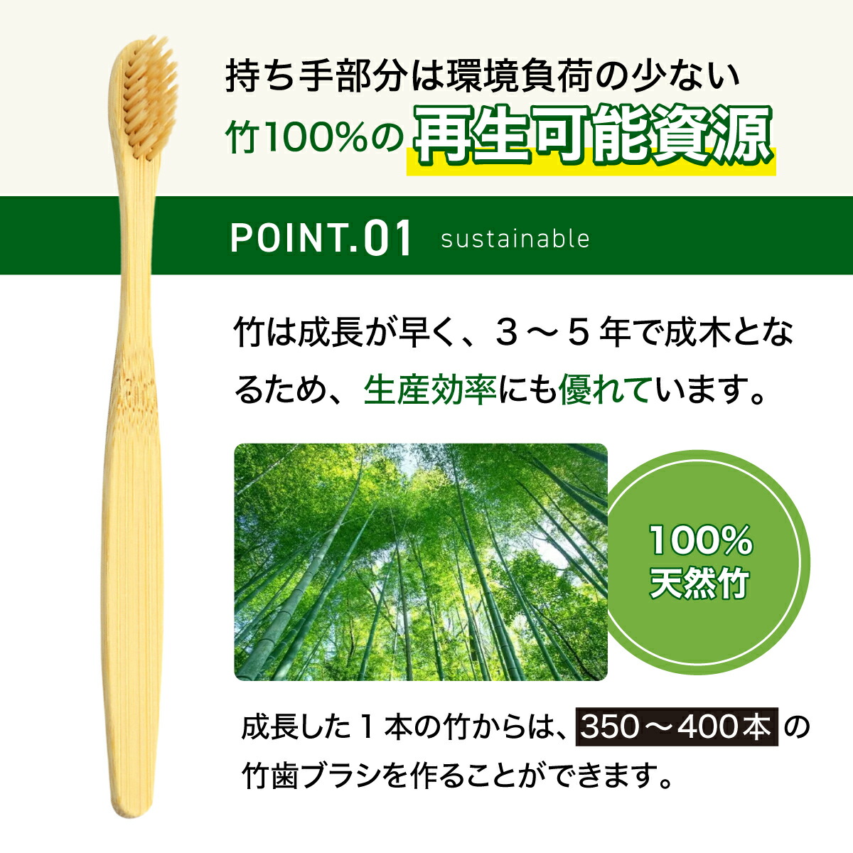 竹歯ブラシ 100個セット 自然素材 竹 竹製歯ブラシ 大人用 柔らかい 毛