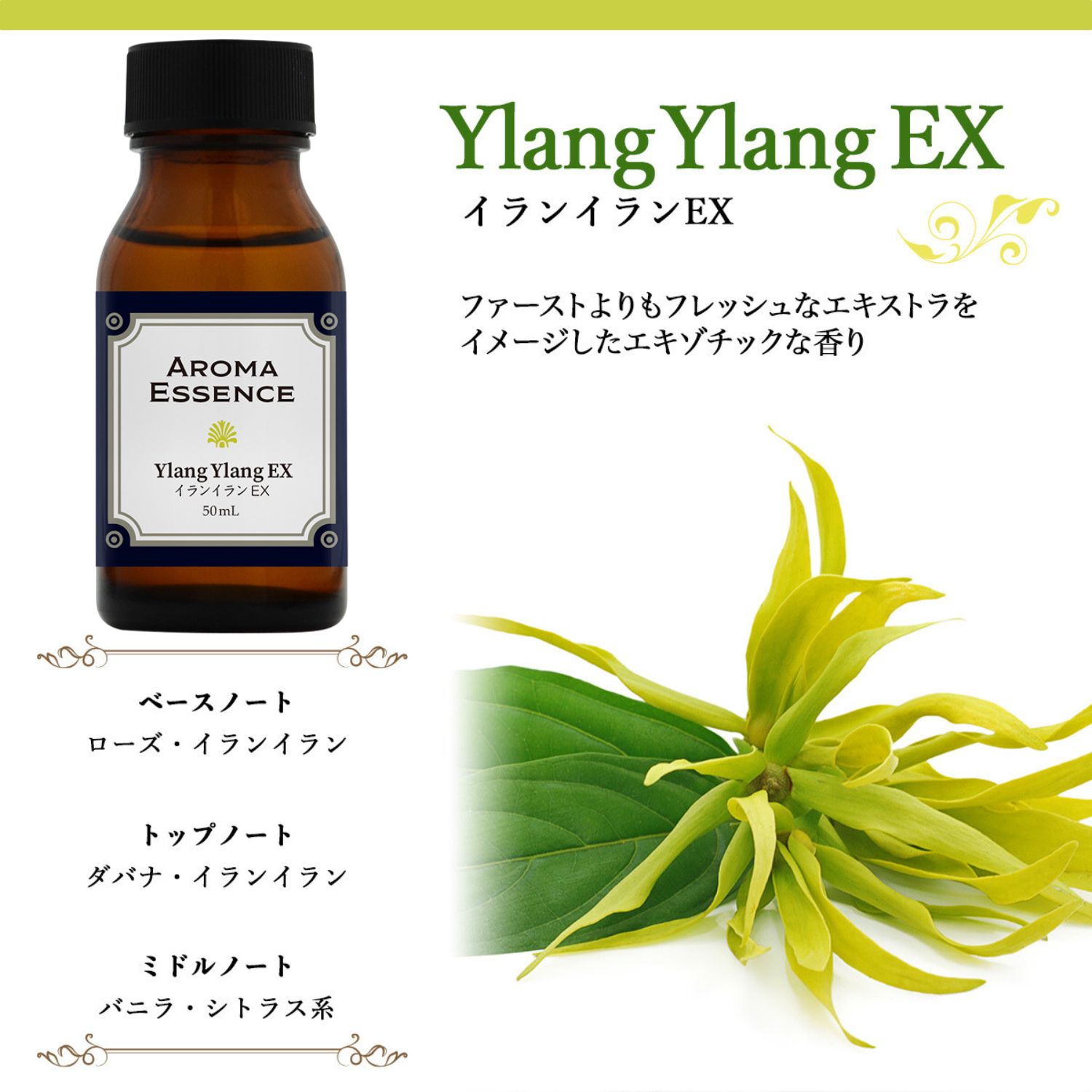 アロマオイル イランイランEX 50ml 香り アロマエッセンス 調合香料
