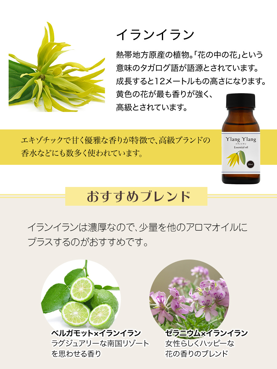 ylangylang50_04.jpg