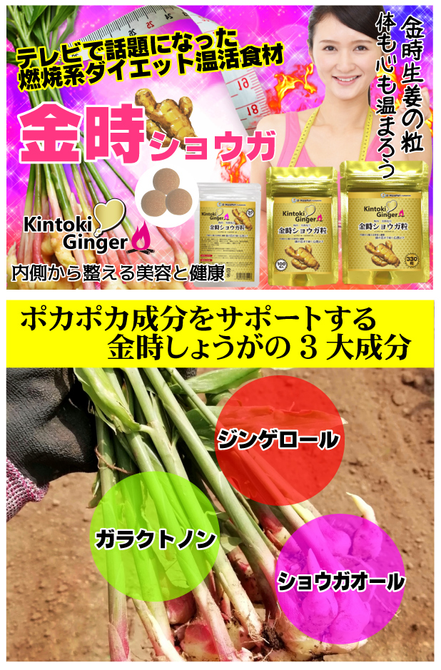 クーポン利用 お得 金時ショウガの粒 温活食材の粒 金時生姜