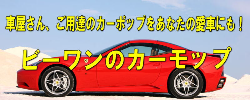 ビーワンのカーモップ
