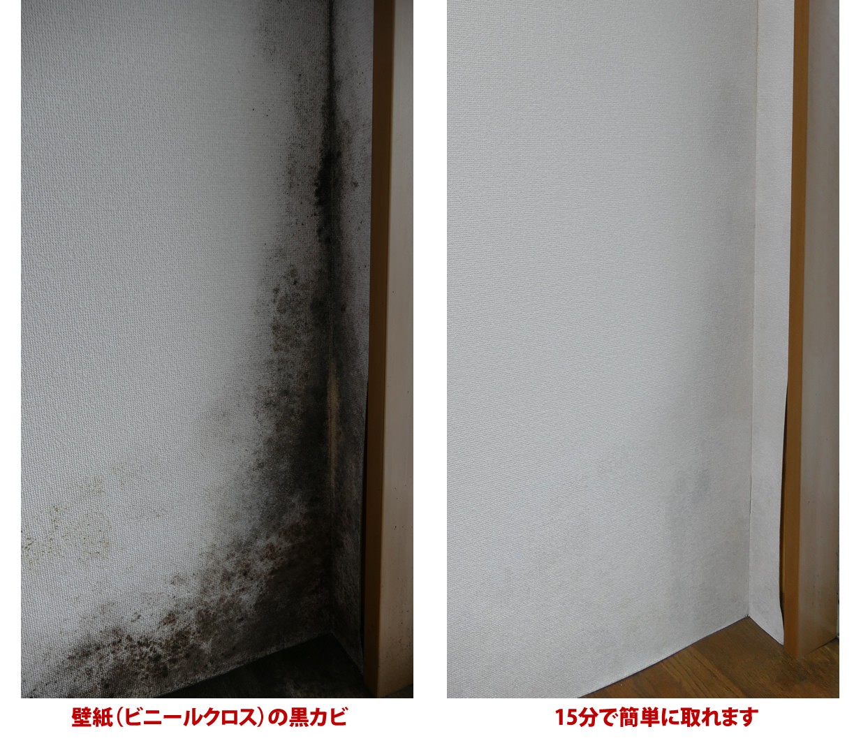 カビホワイト カビ強力除去スプレー 450ml 風呂 お部屋の壁紙 土壁