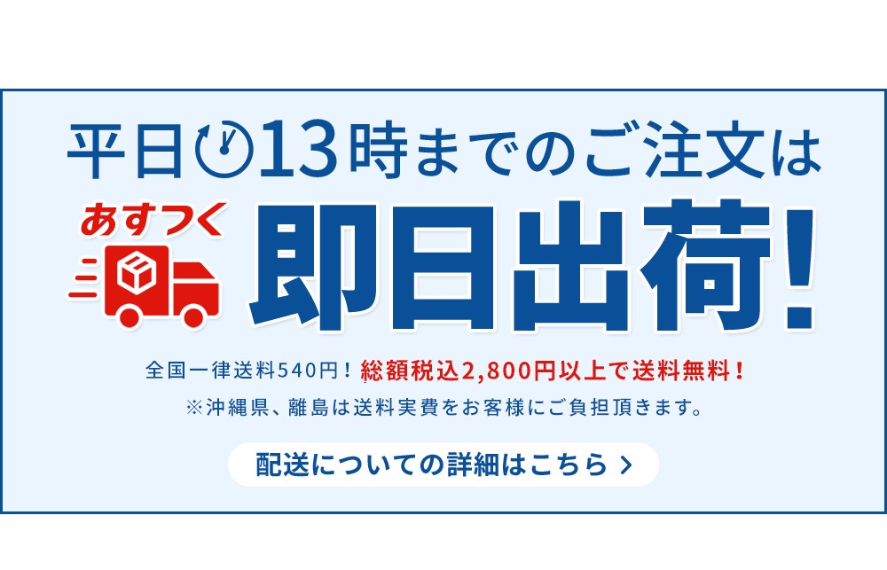 【お値下げ】ワンダースワン Champ 2024 New Model 110cc Cub Bike Underbone 4 Stroke