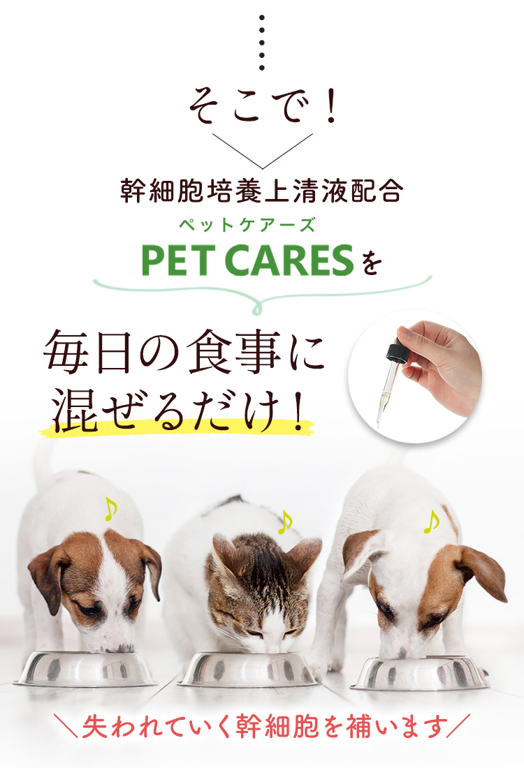 Amazon.co.jp: PETCARES （ペットケアーズ） ペットの口腔