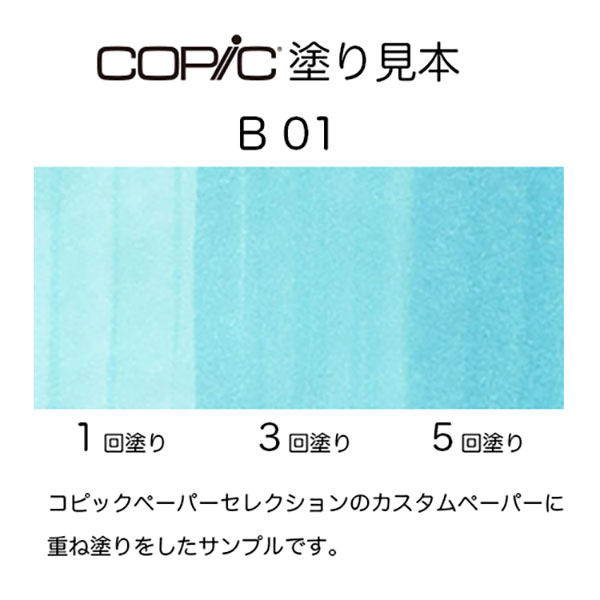 b01.jpg