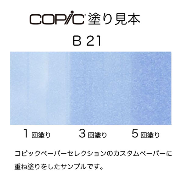 b21.jpg