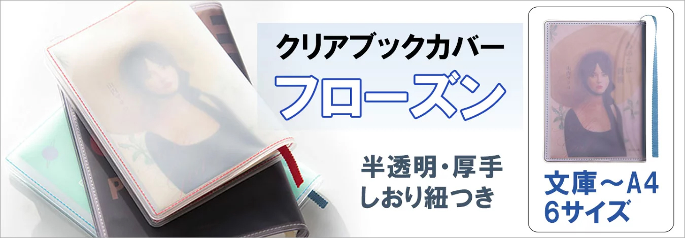 CONCISE（コンサイス） 抗菌クリアカバー 新書サイズ KC-4 透明ブック