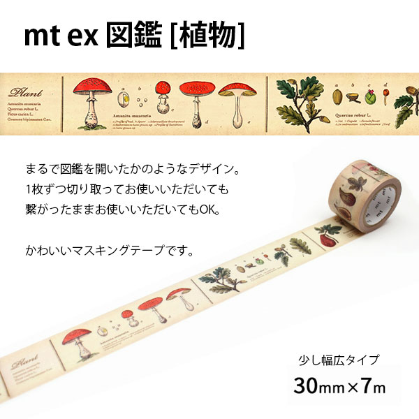 マスキングテープ mt ex 図鑑 植物R 30mm×7m｜b-town｜02