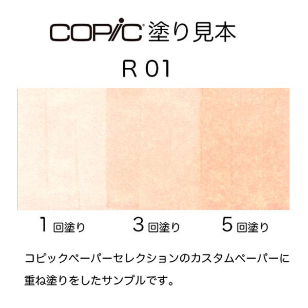 r01b.jpg
