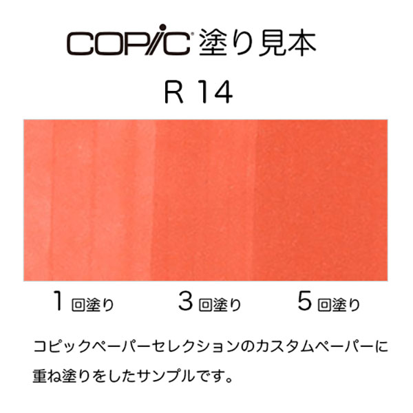 r14.jpg
