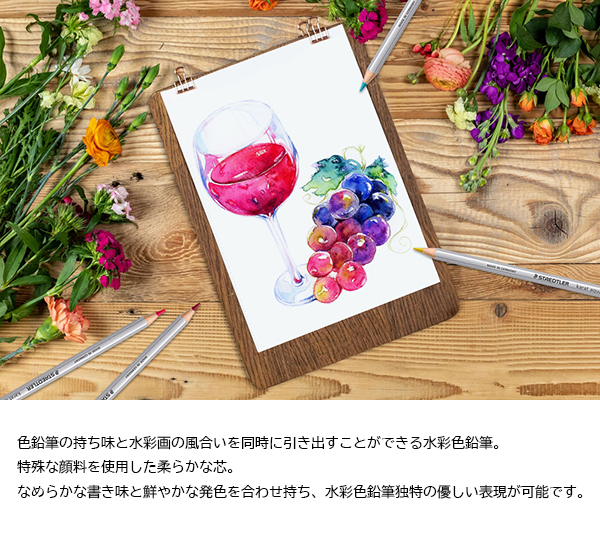 カラト アクェレル ステッドラー 水彩色鉛筆 48色セット 色えんぴつ