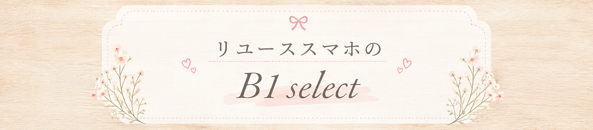 B1セレクト ヘッダー画像