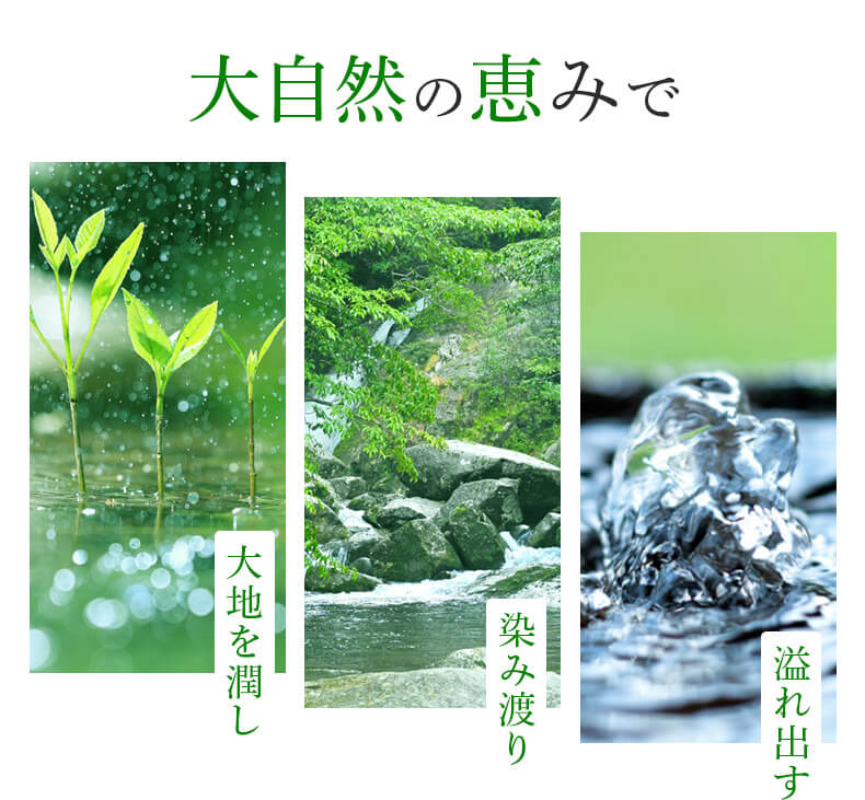 水ノ森 甕壷仕込み 720ml 25度 芋焼酎 屋久島 焼酎 屋久島伝承蔵 本坊