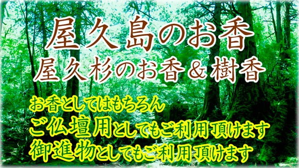 心が癒される香り！樹香 茶箱 緑文字 : c00057-03 : やくしま市場 - 通販 - Yahoo!ショッピング