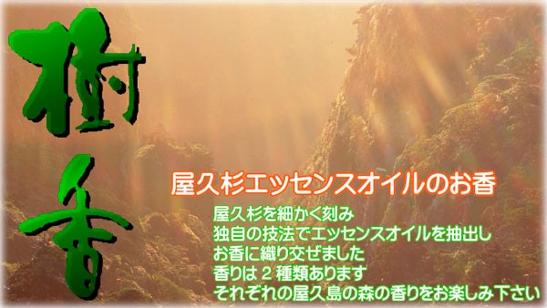 心が癒される香り！樹香 茶箱 緑文字 : c00057-03 : やくしま市場 - 通販 - Yahoo!ショッピング