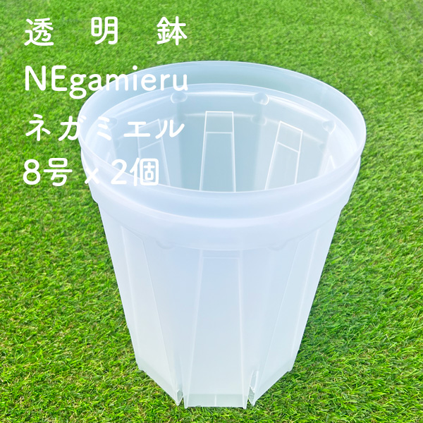 ネガミエル 8号ロング鉢 2鉢セット NEgamieru 浅岡園芸 透明スリット鉢