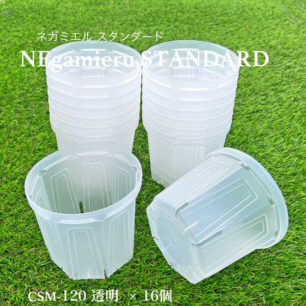 ネガミエルスタンダード 4号鉢 16鉢セット NEgamieru STANDARD 浅岡