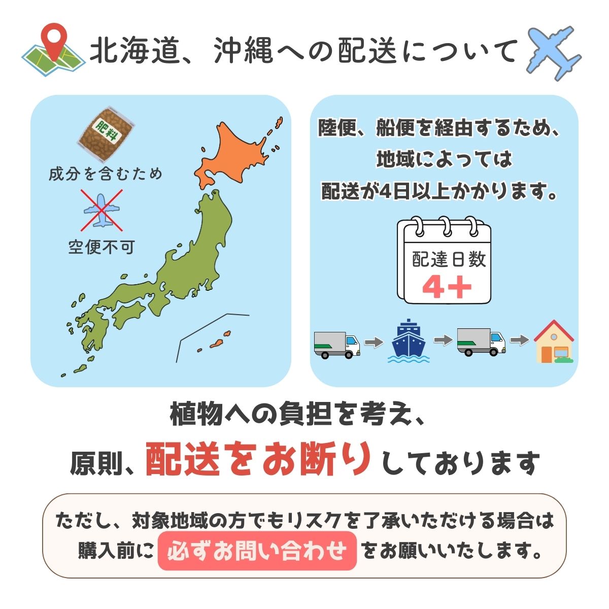 観葉植物 配送不可 北海道 沖縄