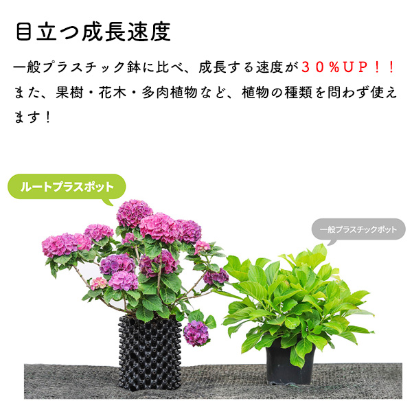 ルートプラスポットミニ 3L 5号サイズ 植木鉢 通気性 排水性