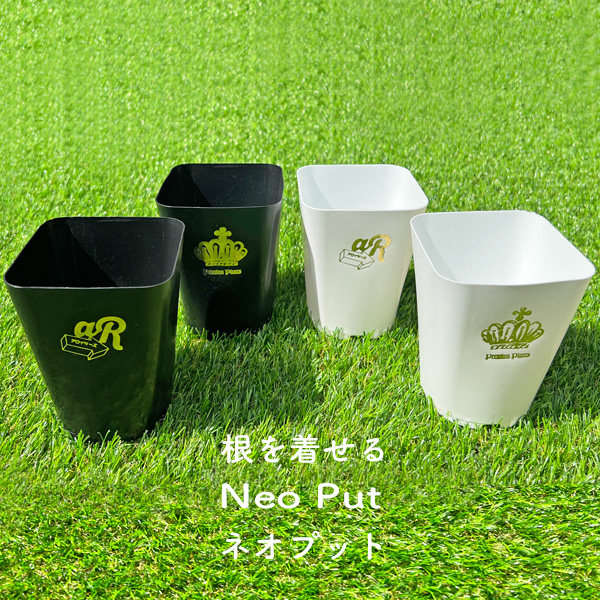 ネオプット 3.5号 4種セット NeoPut ブラック ホワイト 浅岡園芸