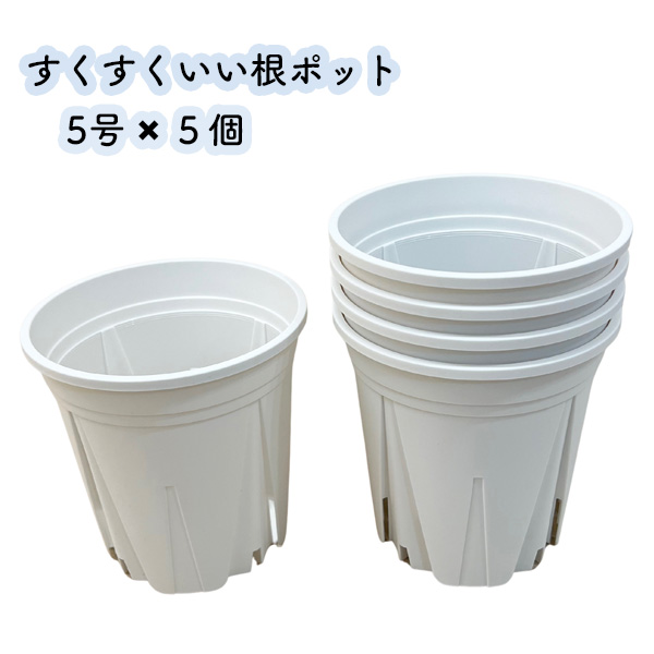 専用です！色被せカット角鉢五個　白ガラス鉢のお纏め すくすくいい根ポット 5号 ホワイト 5個セット スリット鉢 日本製 白
