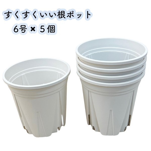 すくすくいい根ポット 6号 ホワイト 5個セット スリット鉢 日本製 白