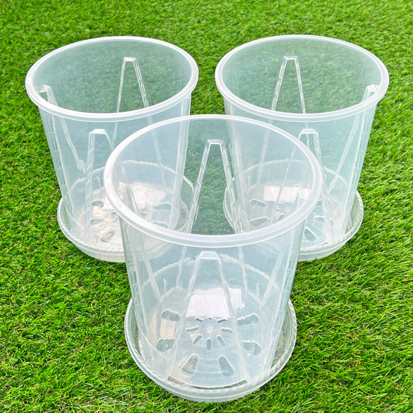 6号 クリアポット 底皿付き 3個セット 植木鉢 根の成長が見える クリア 