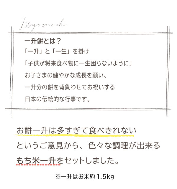 一升餅 リュック ギフトセット 米 小分け 一升米 1歳 誕生日 飾り付け 名入れ 送料無料 背負い餠 記念日 ファーストバースデー Pty 13 おむつケーキ 出産祝い Baby Arte 通販 Yahoo ショッピング