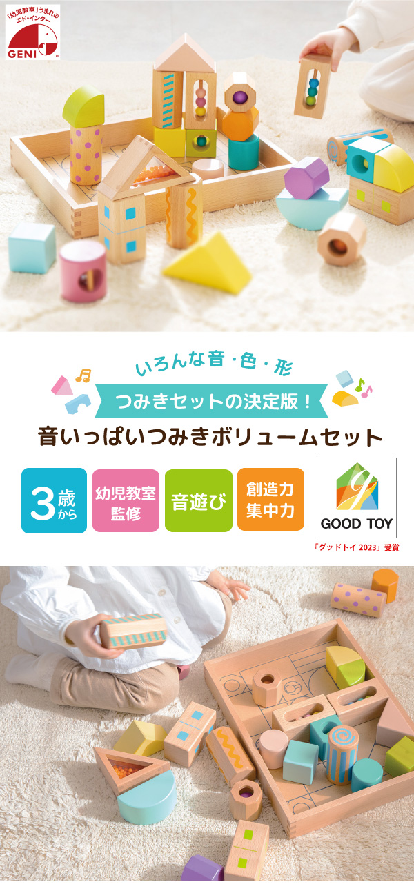 エド・インター（Ed・Inter） 木のおもちゃ 音いっぱいつみき