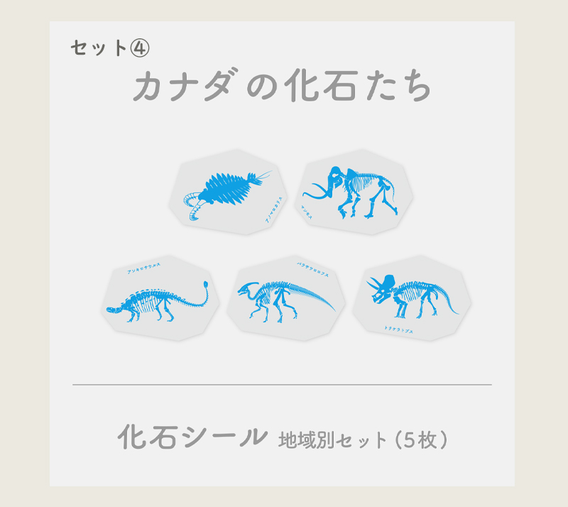 レビュー特典付き 絵本とシール 体験型絵本 化石みっけ 読み聞かせ ジュラシークパーク 化石探検 恐竜絵本 図鑑 宝探し 誕生日プレゼント