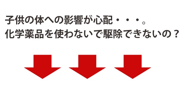 ニットフリーコーム、アタマジラミ、シラミ、駆除、櫛、くし、クシ、子供、あたま