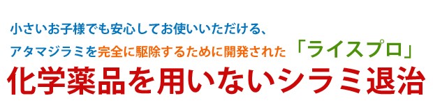 ニットフリーコーム、アタマジラミ、シラミ、駆除、櫛、くし、クシ、子供、あたま、ライスプロ