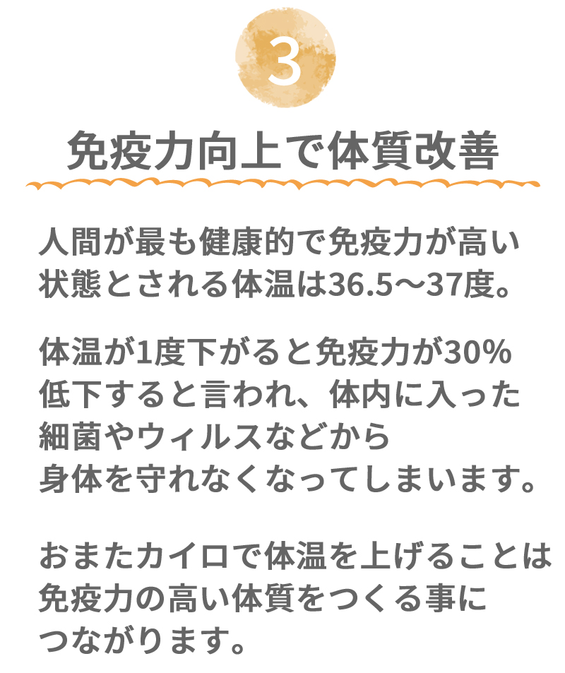 おまたカイロ おまた専用オーガニックコットン布ナプキン 体質改善 免疫力向上 自律神経の調和 冷え性の改善に 妊活 入場待ち スポーツ観戦 列 パレード 花火 キャンプ
