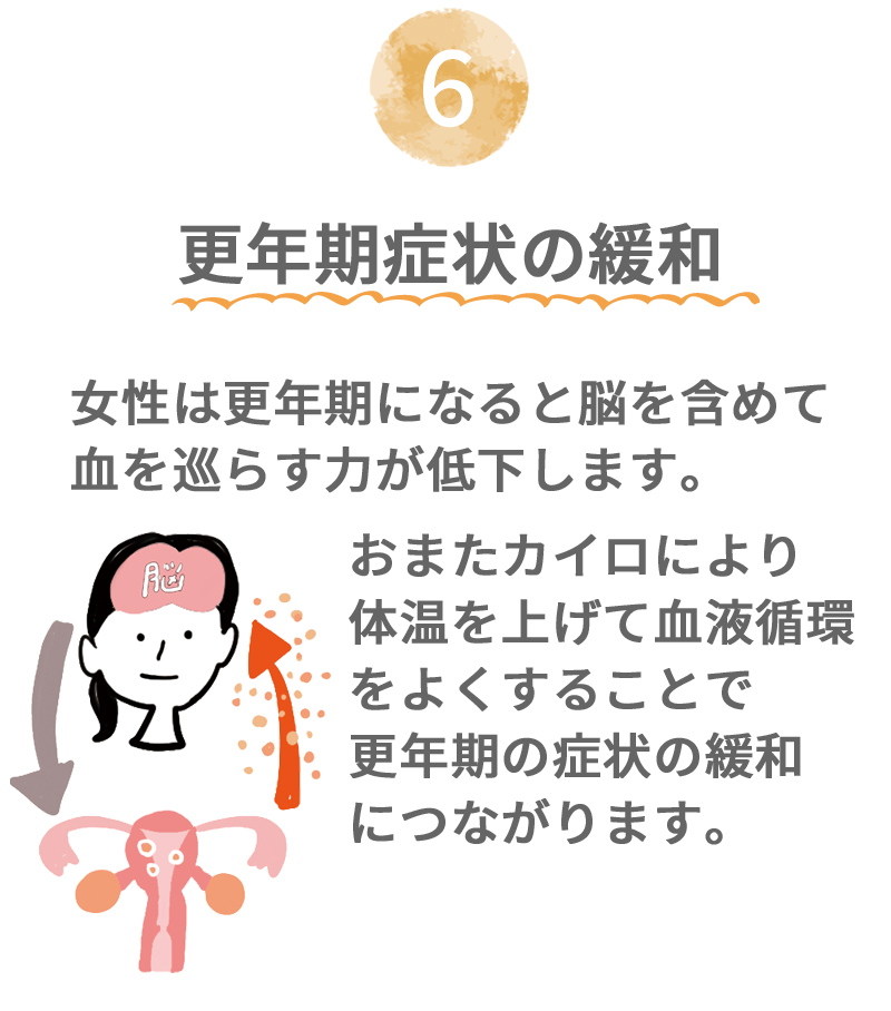 おまたカイロ おまた専用オーガニックコットン布ナプキン 体質改善 免疫力向上 自律神経の調和 冷え性の改善に 妊活 入場待ち スポーツ観戦 列 パレード 花火 キャンプ