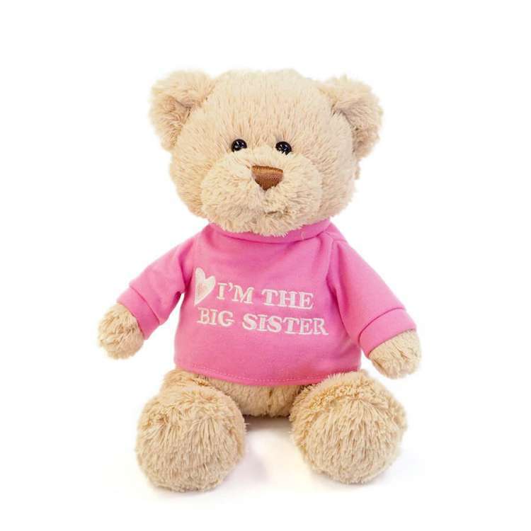 GUND ガンド ぬいぐるみ ビッグ シスター Tシャツ テディーベア テディベア くま くまの ベアー Teddy Bear 人気 ブランド ギフト  贈り物 プレゼントに最適 : 6047554 : Baby・Sies(ベイビー・シーズ) - 通販 - Yahoo!ショッピング