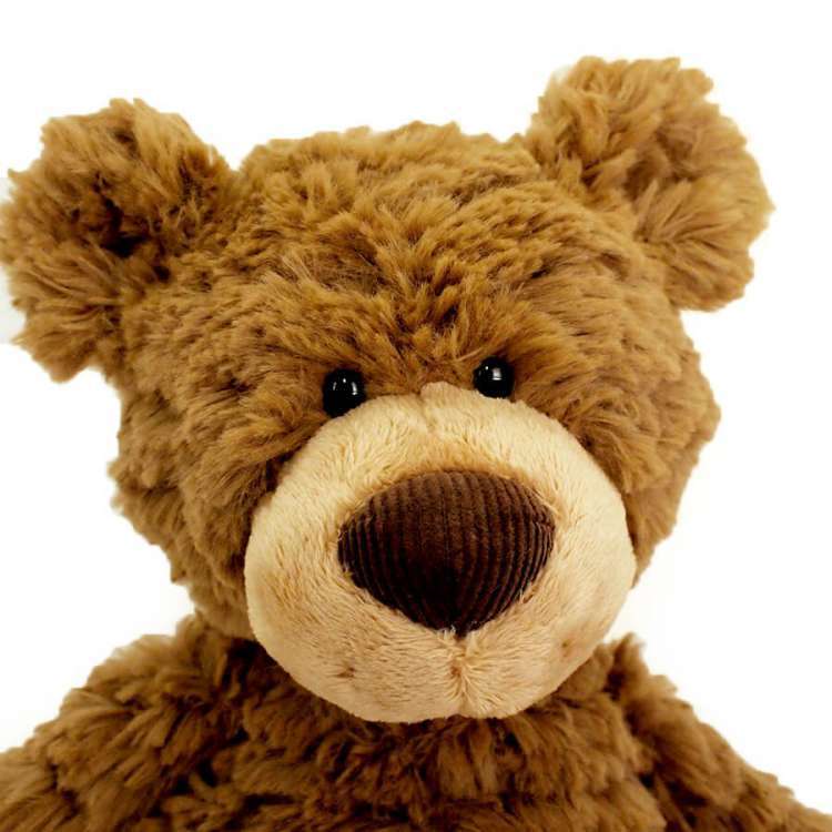 baby GUND Brushin Buddy Bear おしゃべりぬいぐるみ 楽天市場】【talk 動画あり】【楽天1位】 Gund ガンド