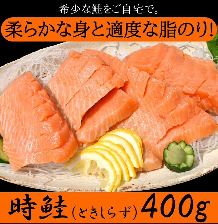 ギフト対応可商品 時鮭 ときしらず 刺身400g 希少な鮭をご自宅で 販売元より直送