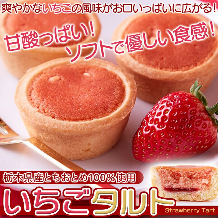 いちごタルト22個 栃木県産 とちおとめ 100%使用 甘酸っぱい風味がお口