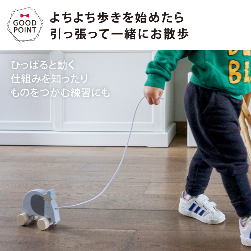 TRYCO（トライコ） プルトイ【おまかせ配送不可】|木のおもちゃ おもちゃ 知育玩具 知育おもちゃ 木製玩具 1歳 1歳半 2歳 誕生日プレゼント 出産祝い | DADWAY | 05