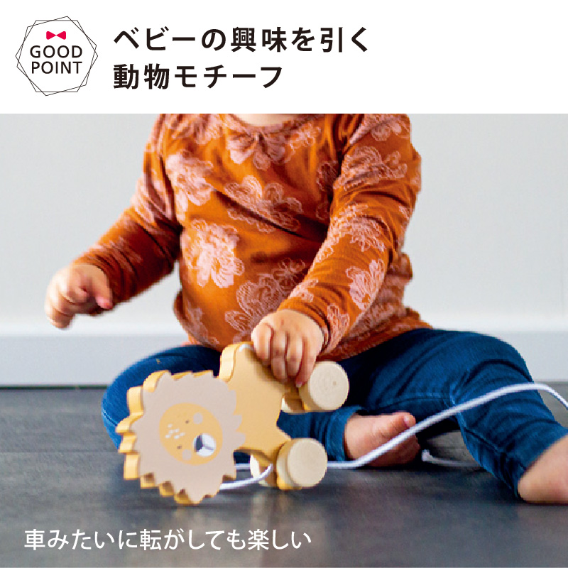 TRYCO（トライコ） プルトイ【おまかせ配送不可】|木のおもちゃ おもちゃ 知育玩具 知育おもちゃ 木製玩具 1歳 1歳半 2歳 誕生日プレゼント 出産祝い | DADWAY | 06