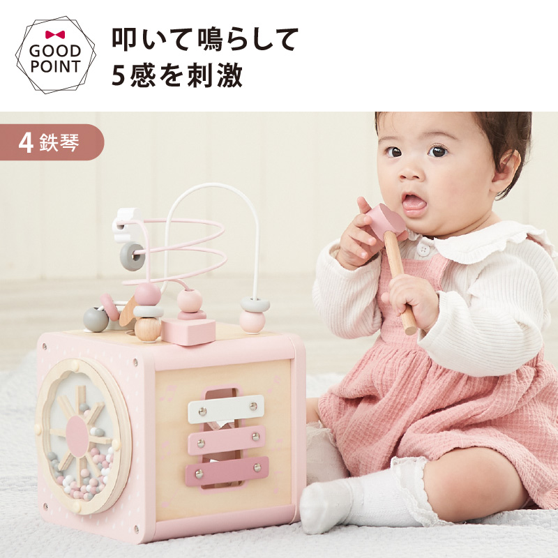 リトルダッチ】型はめパズル アクティビティキューブ ピンク