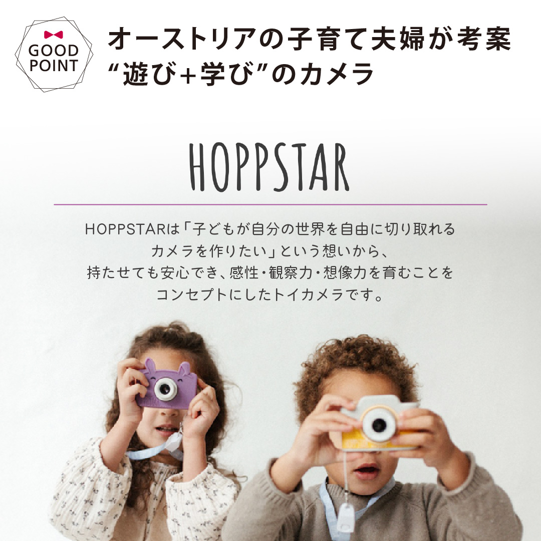 HOPPSTAR（ホップスター） アーティスト ブラッシュ｜カメラ おもちゃ
