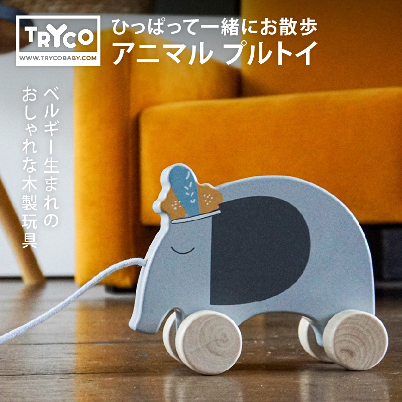 TRYCO（トライコ） プルトイ【おまかせ配送不可】|木のおもちゃ おもちゃ 知育玩具 知育おもちゃ 木製玩具 1歳 1歳半 2歳 誕生日プレゼント 出産祝い | DADWAY | 04