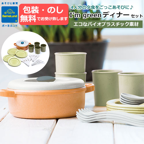 Bornelund ボーネルンド] ダントーイ I'm green キッチンセット