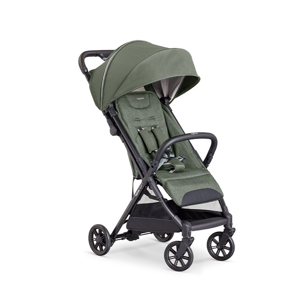 Inglesina 【安心の3年保証】イングリッシーナクイッド2α
